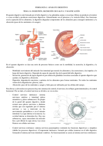 fisio-convertido.pdf