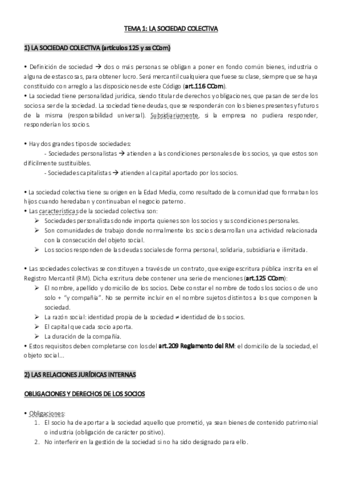 SO TEMA 1.pdf