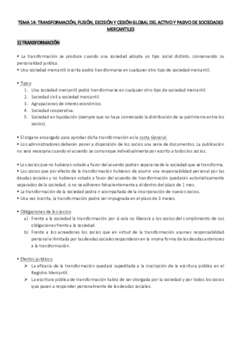 SO TEMA 14.pdf