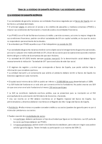 SO TEMA 20.pdf