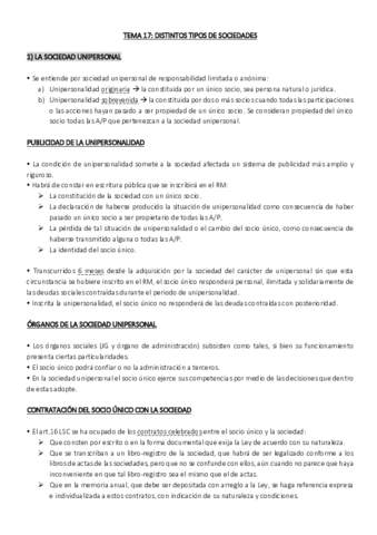SO TEMA 17.pdf