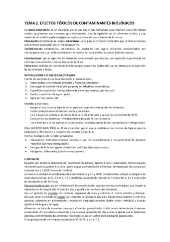 TEMA 2.pdf