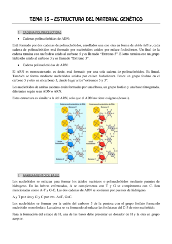 Tema_15_16_17_18_19_ Bioquimica.pdf