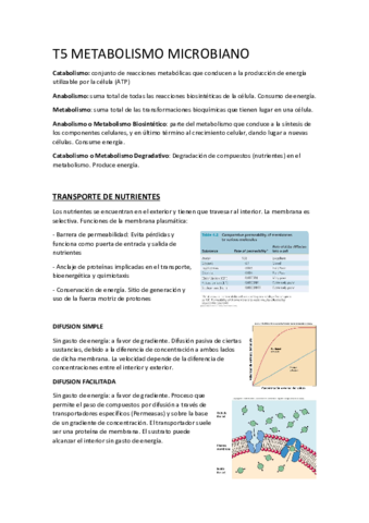 5 Microbiologia.pdf