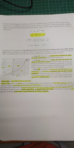 WhatsApp Image 2019-01-08 at 09.55.37 (2).jpeg