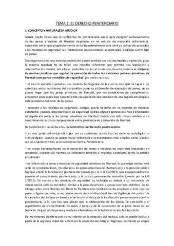 Tema 1 Dº Penitenciario.pdf