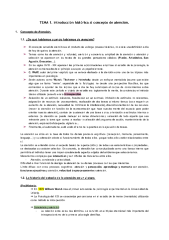 TEMA 1.pdf