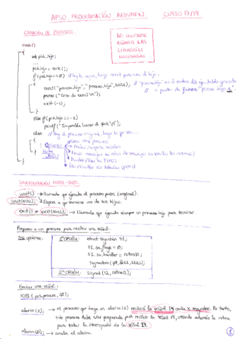 Resumen_APSO_programacion.pdf