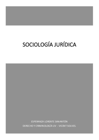 Apuntes sociología (completos) pdf.pdf