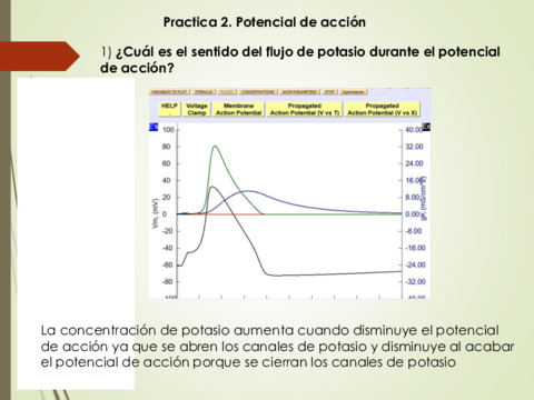 Práctica 2. Potencial de acción.pdf