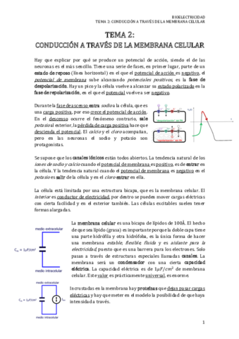 TEMA 2 BIOELECTRICIDAD.pdf
