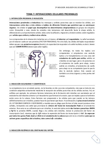 TEMA 7 final.pdf