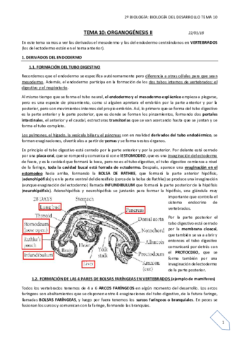 TEMA 10 final.pdf