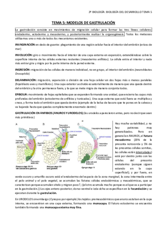 TEMA 5 gastrulación.pdf