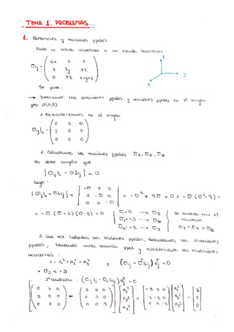 Tema 1. Problemas.pdf