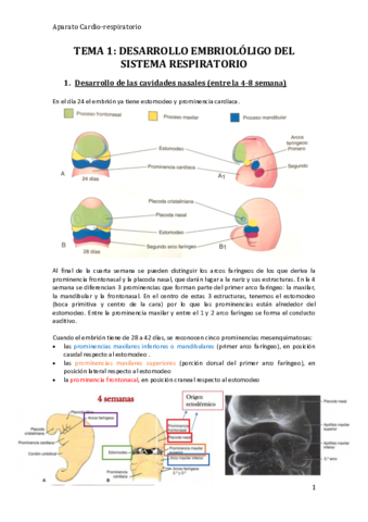 TEMA 1 CARDIORESPIRATORIO.pdf