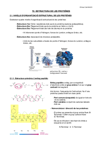 Apuns Bioquímica (Tema 2).pdf