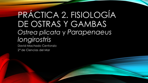 Práctica 2. Fisio.pdf