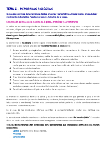 APUNTES T2 - Marta.pdf