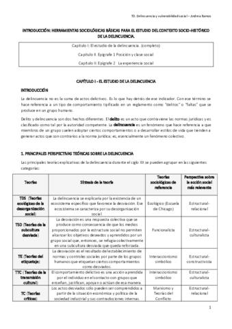 Tema 0 - Delincuencia.pdf