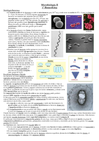 Tema 2 Microbiología.pdf