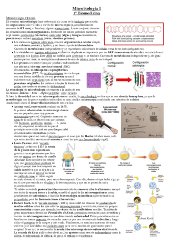 Tema 1 Microbiología.pdf