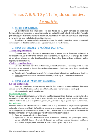 Tema 7- 8, 9,10 y 11. Tejido conjuntivo o conectivo..pdf