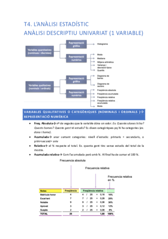t4. anàlisi estadístic part 1.pdf