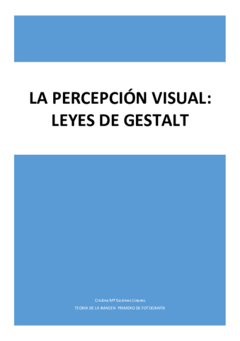 LA PERCEPCIÓN VISUAL.pdf