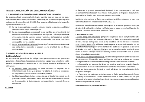 TEMA 5 DERECHO CIVIL.pdf