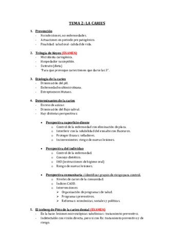 TEMA 2.pdf