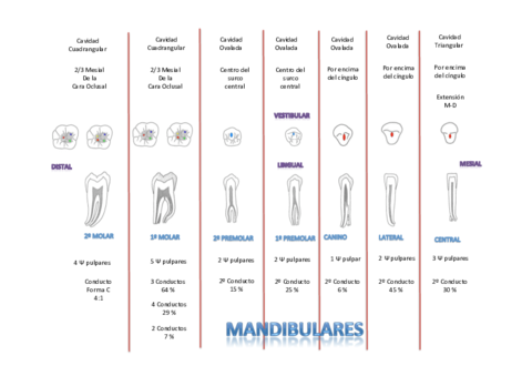 MANDIBULAR.pdf
