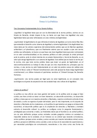 CIENCIA POLÍTICA APUNTES.pdf