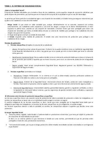 TEMA 1.pdf