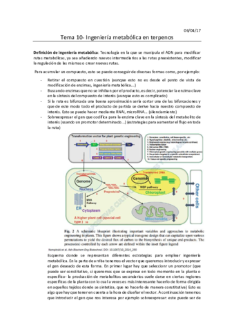 Tema 10 completo- Ingeniería metabólica en terpenos.pdf
