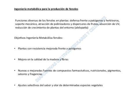 Tema 12.1- Ingeniería Metabólica en Fenoles.pdf