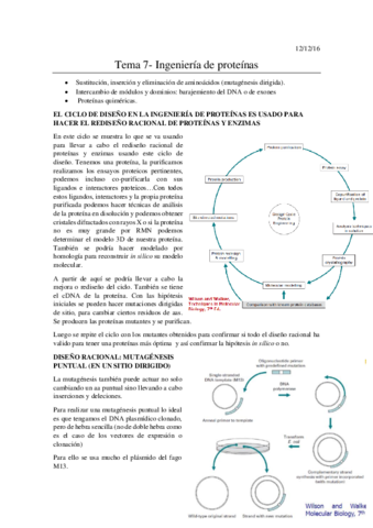 Tema 7- Ingeniería de proteínas.pdf