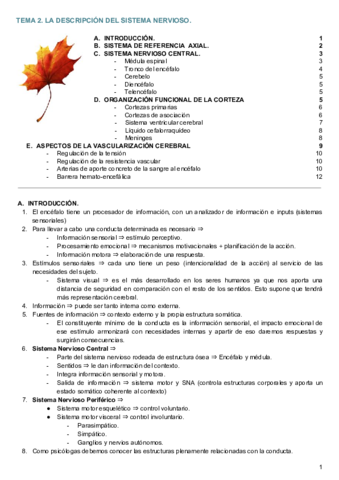 TEMA 2. DESCRIPCIÓN DEL SISTEMA NERVIOSO. .pdf