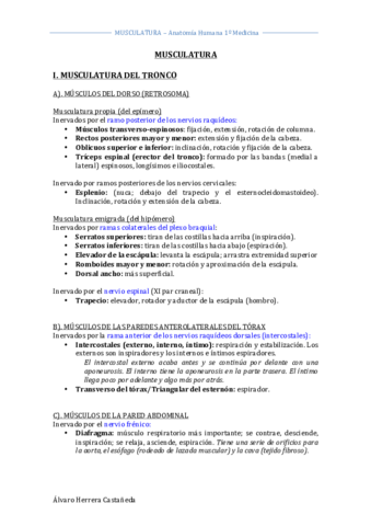 MUSCULATURA.pdf