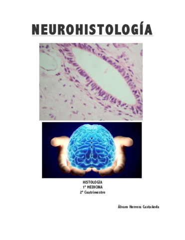 Neurohistología.pdf