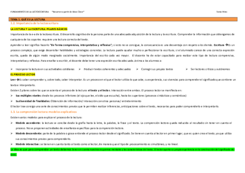 Resumen lectoescritura_Infantil plan nuevo.pdf