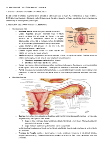 PREPARACIÓN EIR - 22. OBSTÉTRICO-GINE.pdf