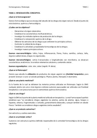 TEMA 1 FG.pdf