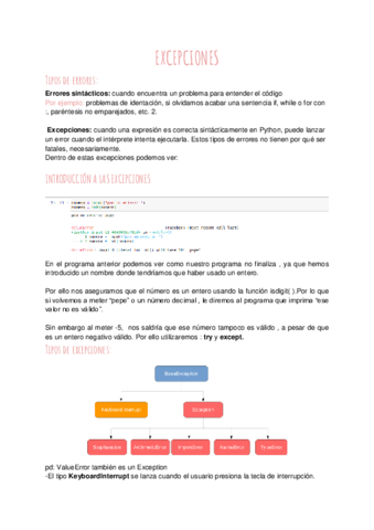 11-EXCEPCIONES.pdf
