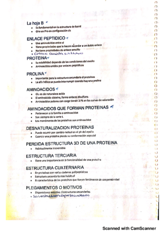 Nuevo doc 2019-03-01 12.31.37_20190301123309.pdf