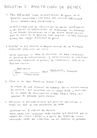 Boletín 2 (Segunda Parte del Temario).pdf