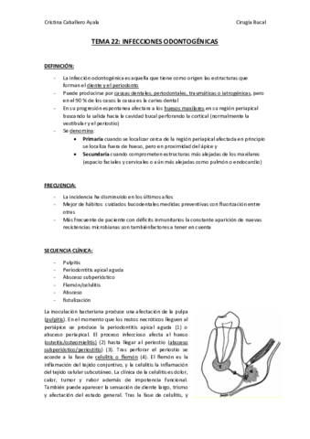TEMA 22.pdf