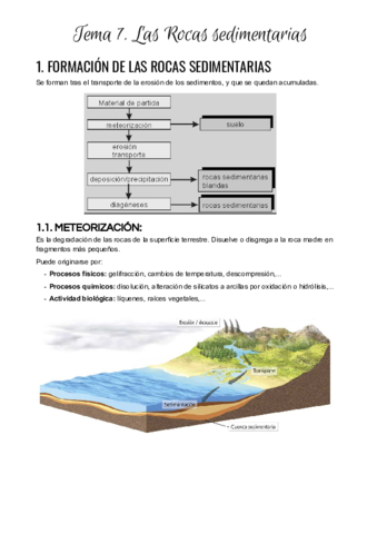 Tema 7. Rocas sedimentarias.pdf