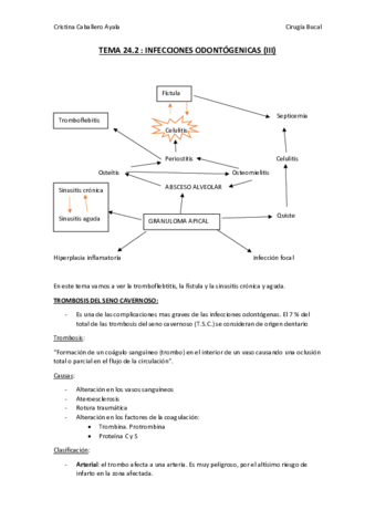TEMA 24. 2.pdf