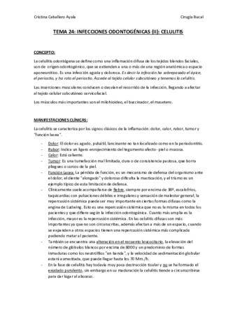 TEMA 24.pdf